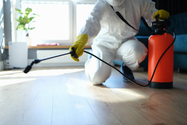 Best Pest Prevention Services  in Burien, WA