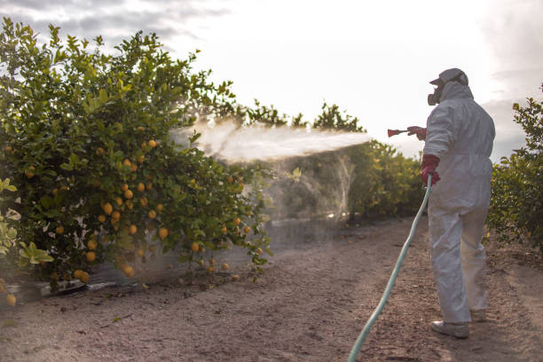 Pest Control for Restaurants in Burien, WA