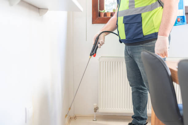 Best Local Pest Control Services  in Burien, WA