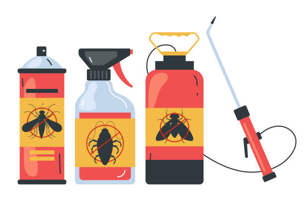 Best Wasp Removal Services  in Burien, WA