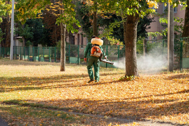 Best Ant Control Services  in Burien, WA