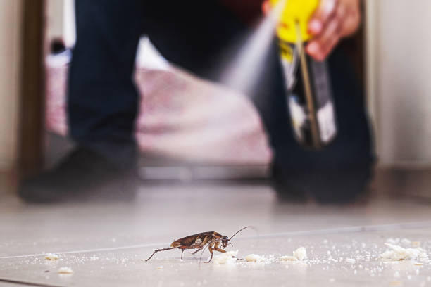Best Residential Pest Control  in Burien, WA